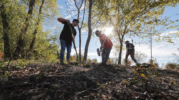 Two teens dig in the underbrush beneath trees with golden leaves as a third young person walks behind them. A bright sun and blue sky with wispy clouds fill the background. Two teens dig in the underbrush beneath trees with golden leaves as a third young person walks behind them. A bright sun and blue sky with wispy clouds fill the background.