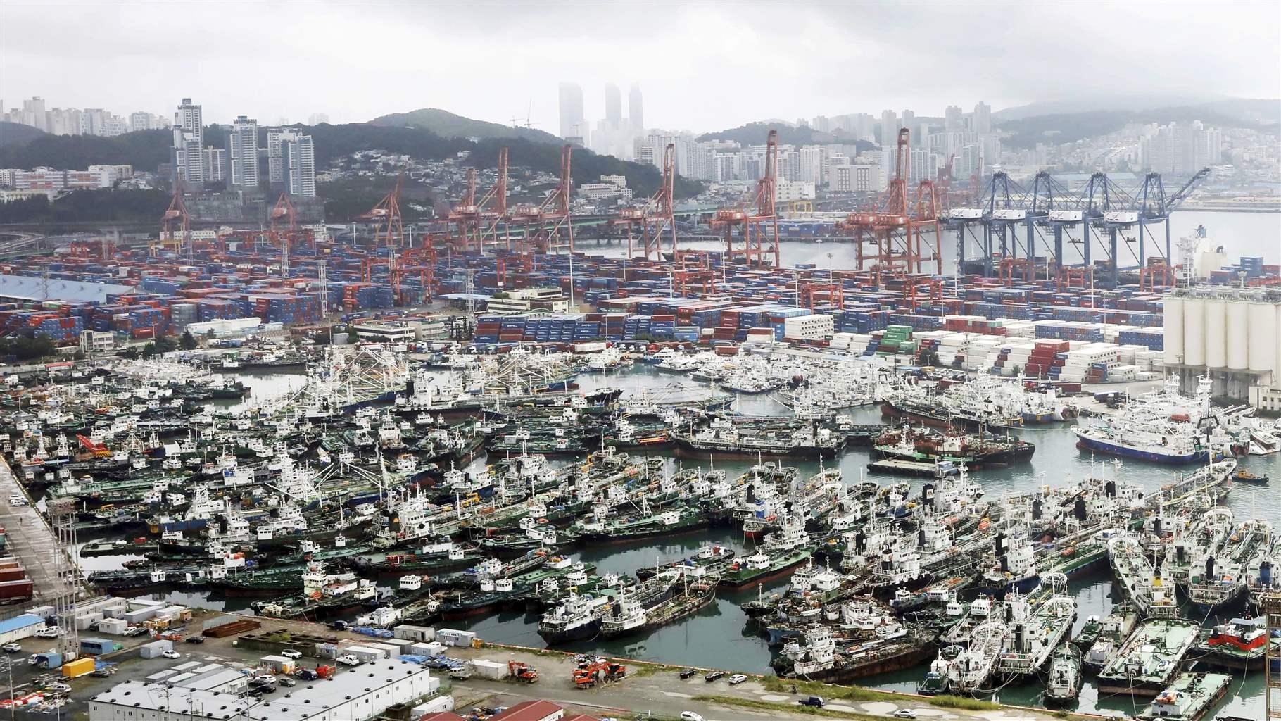 Fishing vessels, many with dark hulls with white wheelhouses, crowd together on a cloudy, gray day at the port of Busan, South Korea. Thousands of blue and red cargo boxes are stacked behind the ships, with large blue and red lifts. Skyscrapers and the hills of the city are seen in the distance. Fishing vessels, many with dark hulls with white wheelhouses, crowd together on a cloudy, gray day at the port of Busan, South Korea. Thousands of blue and red cargo boxes are stacked behind the ships, with large blue and red lifts. Skyscrapers and the hills of the city are seen in the distance.